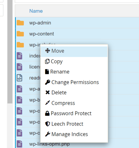 Tutorial Thiết kế Website – Cài đặt tên miền - Hosting Cpanel và CMS 14 giải nén thư mục wordpress 3
