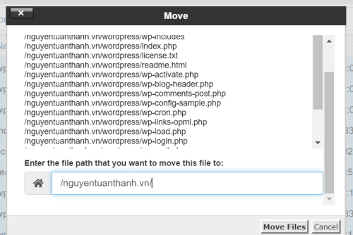 Tutorial Thiết kế Website – Cài đặt tên miền - Hosting Cpanel và CMS 15 giải nén thư mục wordpress 4