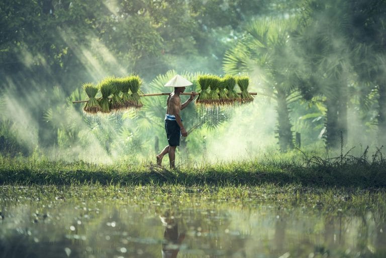 6 kinh nghiệm huy động vốn và hùn hạp làm ăn 7 văn hóa lúa nước